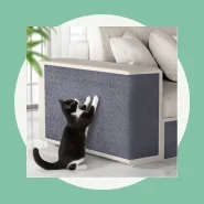 Arranhador para Entreter e Cuidar das Unhas do Gato