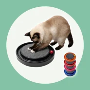 Arranhador para Entreter e Cuidar das Unhas do Gato