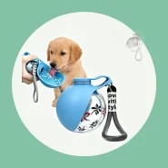Garrafa de Água Pet Passeio Bebedouro Portátil para Cachorro Gato