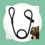 Guia Unificada Adestramento Cachorro Coleira Nylon Reforçado Cães
