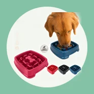 Comedouro 650ml para Cães e Gatos