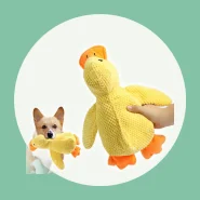 Brinquedo Interativo para Divertir Seu Pet