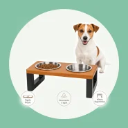 Comedouro Elevado para Cães e Gatos