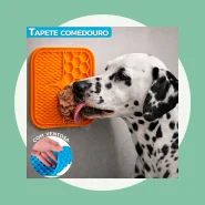 Comedouro para Cães e Gatos