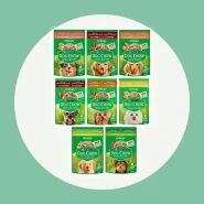 Kit 15 Sachês Dog Chow Ração Úmida Cachorro Sachê