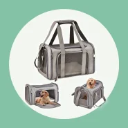 Bolsa de Transporte para Viajar com Cães e Gatos