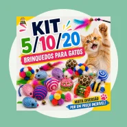 Kit 5 10 20 Brinquedos para Gatos Interativo Pet