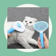 Escova Coçador Pet Parede Gato Massagem Brinquedo Vestuário