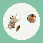 Arranhador para Entreter e Cuidar das Unhas do Gato
