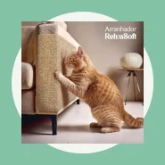 Arranhador para Entreter e Cuidar das Unhas do Gato