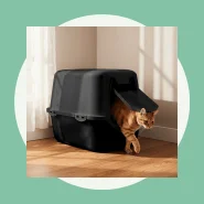 Caixa Areia Fechada Banheiro Toalete Sanitário Gato Antiodor