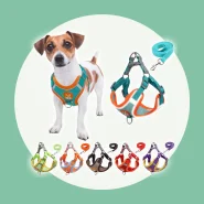 Peitoral para Passeios com Seu Pet
