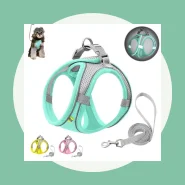 Peitoral para Passeios com Seu Pet