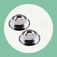 Comedouro e Bebedouro em Inox para Cães e Gatos