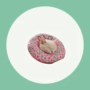 Colar Elizabetano Macio Ajustável Pós-cirúrgico para Cães e Gatos