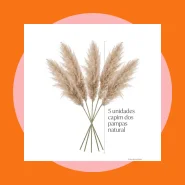 Capim dos Pampas Natural Decoração Ambiente Casamento Arranjos Vaso