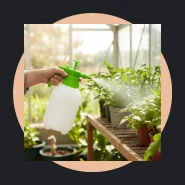Pulverizador Borrifador Compressão para Jardinagem Limpeza Vidro