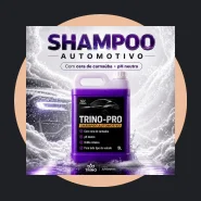 Shampoo com Ph Neutro e Cera de Carnaúba para Carro