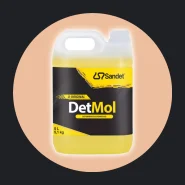 Shampoo Automotivo Lava Auto Limpeza Pesada Detmol Sandet 5l