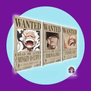 Kit 3 Placa Decorativa One Piece