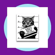 Quadro Decorativo Meme Gato Surtei Atirei o Pau Na Dona Chica